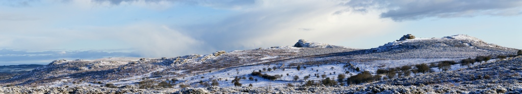 Puisi: Tahun Baru Di Dartmoor Oleh Sylvia Plath