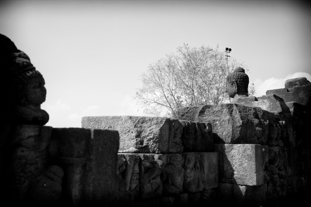 The Tendrils of&nbsp;Memory