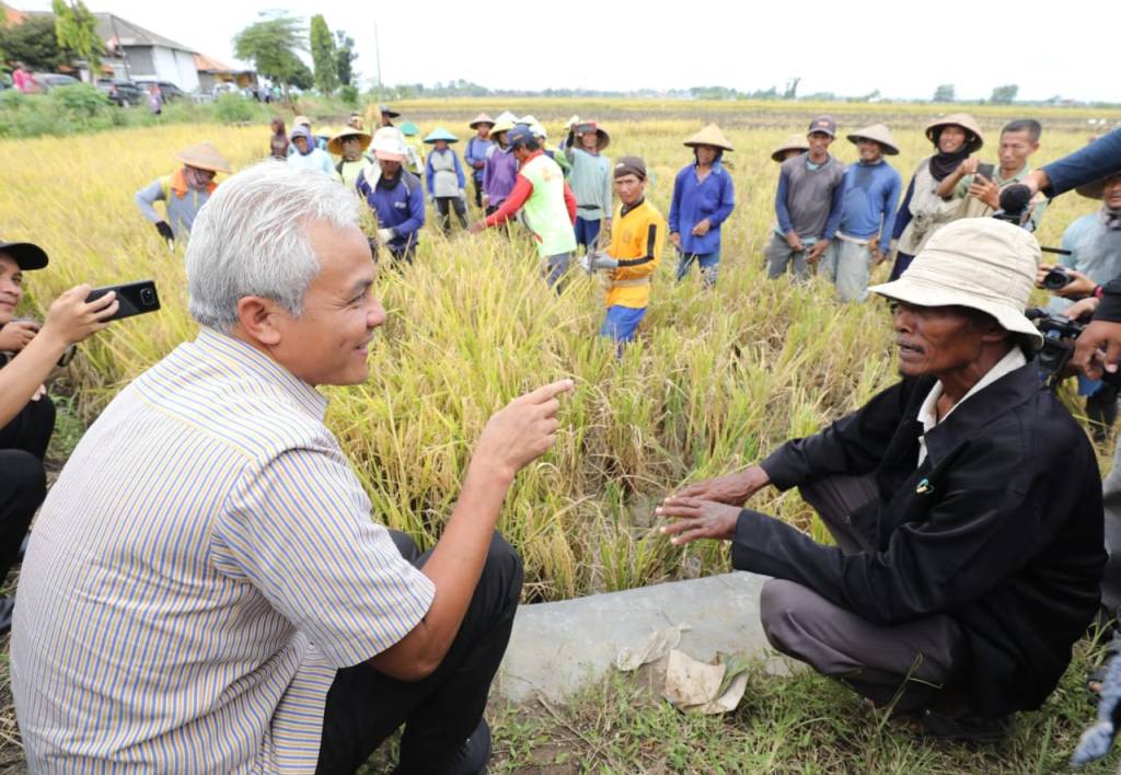 Elections: $933m Increase in Fertilizer Subsidies For Farmers, President Joko Widodo