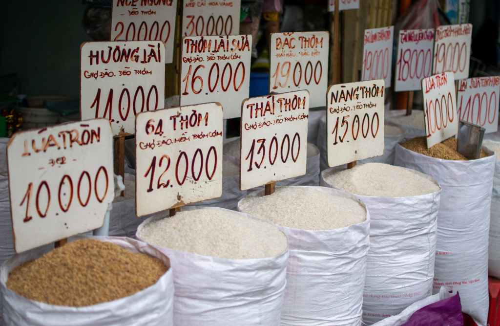 Elections: Rising Rice Prices, “Not as Bad as Other Countries,” President Widodo,&nbsp;Kompas
