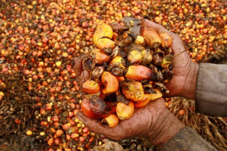 Indonesia to Tighten Palm Oil Exports From January 1, Al&nbsp;Jazeera