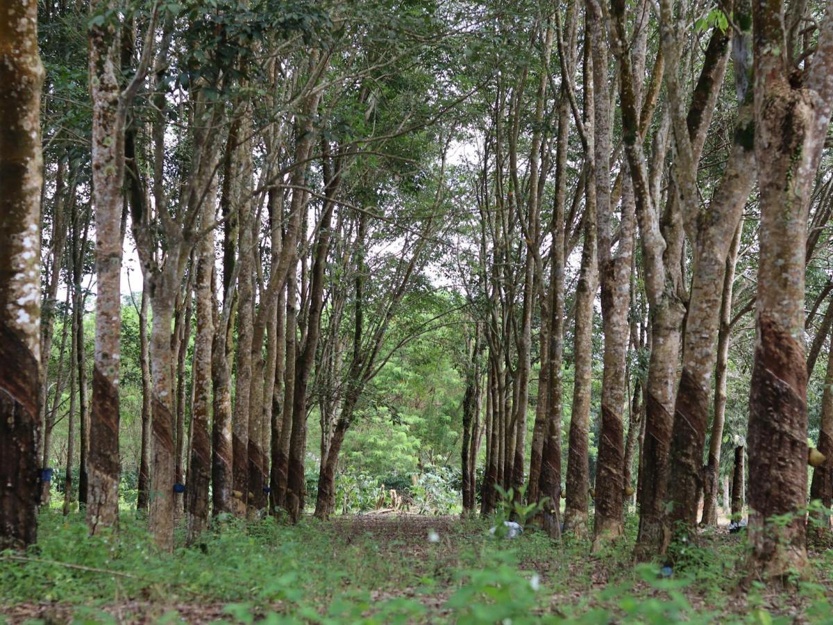 Cerpen: Lonceng Berbunyi Karya&nbsp;Subardjo
