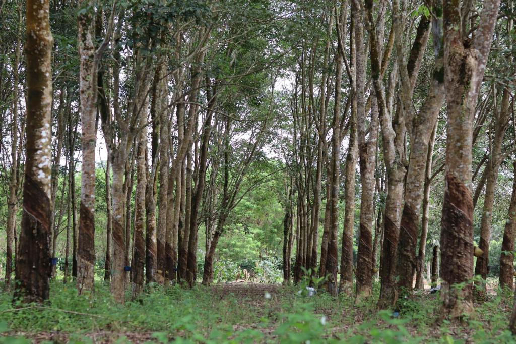 Cerpen: Lonceng Berbunyi Karya&nbsp;Subardjo