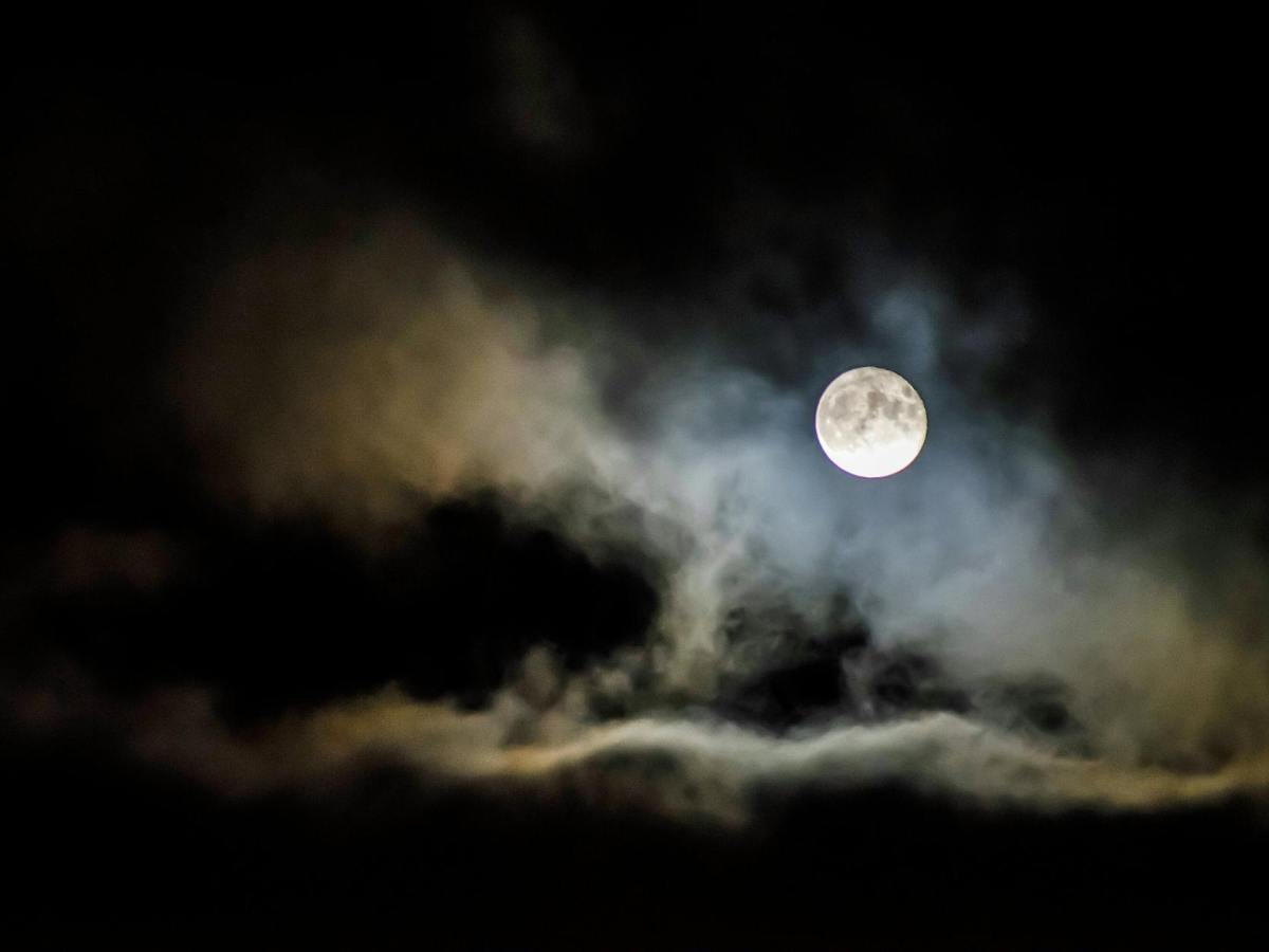 Poem: The Moonlight Slowly Fades By Toto ST&nbsp;Radik