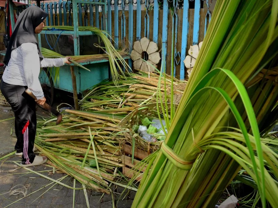 Young coconut palm frond vendors also benefit. (Suara Merdeka/Nugroho DS)